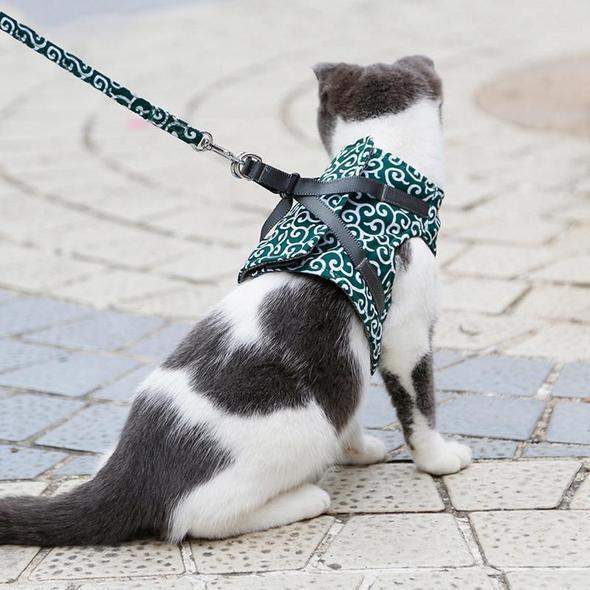 Veste de Harnais et Laisse pour Chat