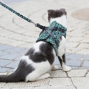 Veste de Harnais et Laisse pour Chat