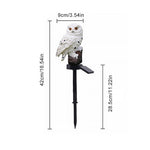 Lampe Solaire de Pelouse à Prise de Terre à Figure d'Aigle