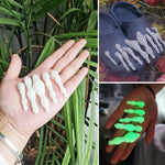 Accessoires lumineux pour crânes simulés