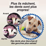 Ciaovie™ Jouet à Mâcher d'animal Familier - ciaovie