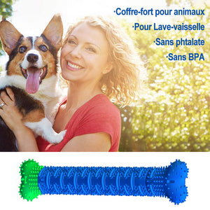 Ciaovie™ Jouet à Mâcher d'animal Familier - ciaovie